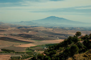 Barone Montalto