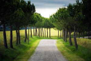 Poggio al Tesoro