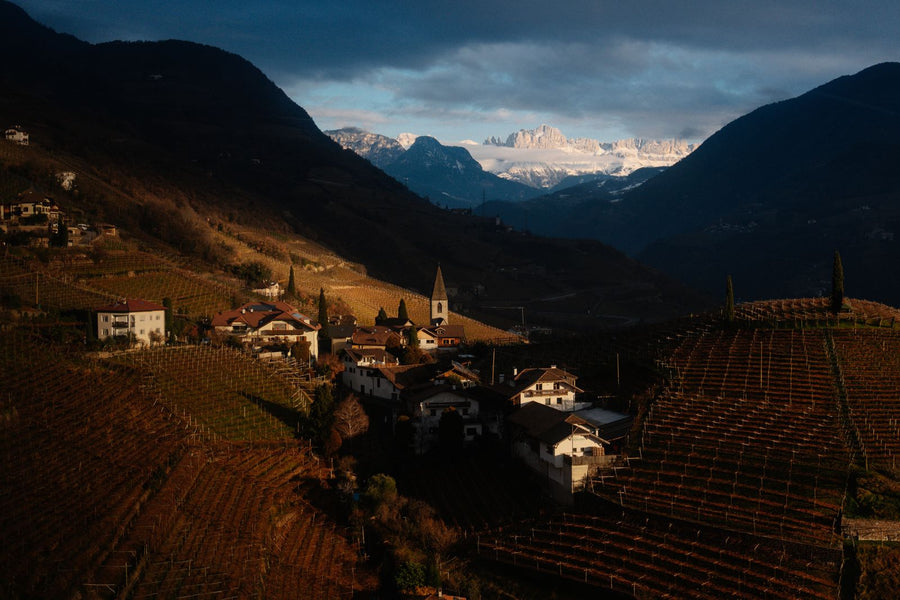Alpine village and vineyards at dusk – photo by Raymond Petrik, Pexels