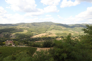 Badia a Coltibuono