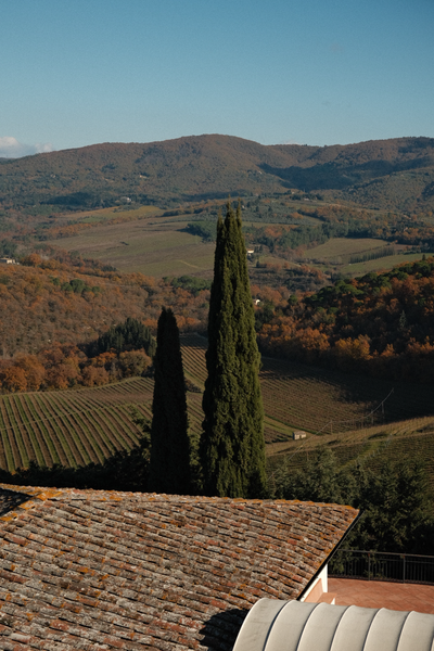 Tenuta dell'Ornellaia