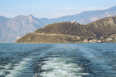 Ca' del Bosco