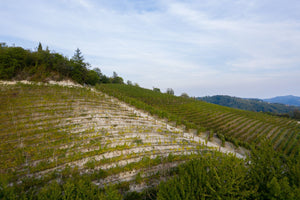 Terralba