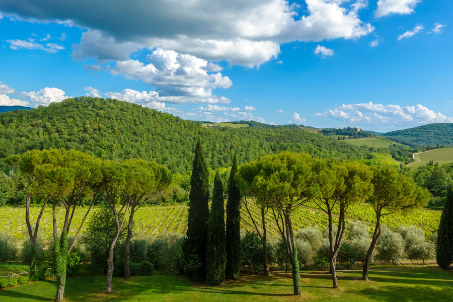 Tuscan countryside with cypress trees – photo by tommy picone, Pexels