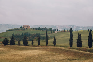 Capezzana