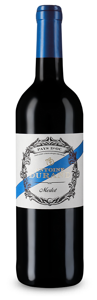 Pays d'Oc Merlot 2025 - Antoine Durand