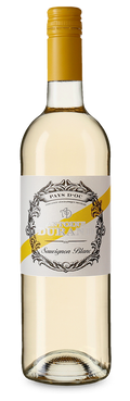 Sauvignon Blanc 2025 - Antoine Durand