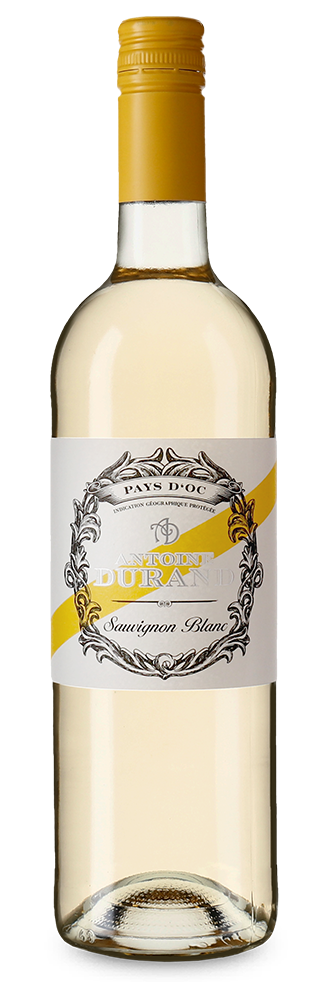 Sauvignon Blanc 2025 - Antoine Durand