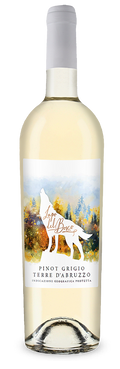 Pinot Grigio "Lupo del Bosco" 2025 - Cantina Tollo