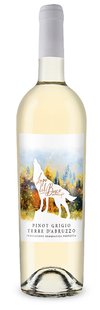 Pinot Grigio "Lupo del Bosco" 2025 - Cantina Tollo