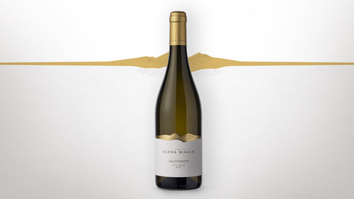 Alto Adige Sauvignon "Selezione" 2024 - Elena Walch