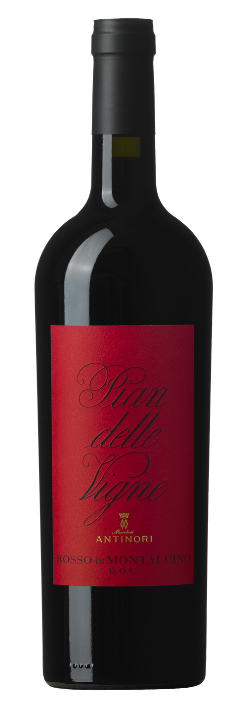 Rosso di Montalcino "Pian delle Vigne" 2021 - Antinori