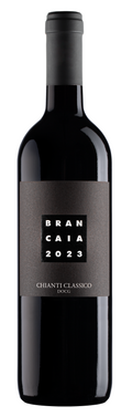 Bottle of Chianti Classico by Brancaia