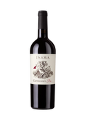 Bottle of Carmenere Più by Inama