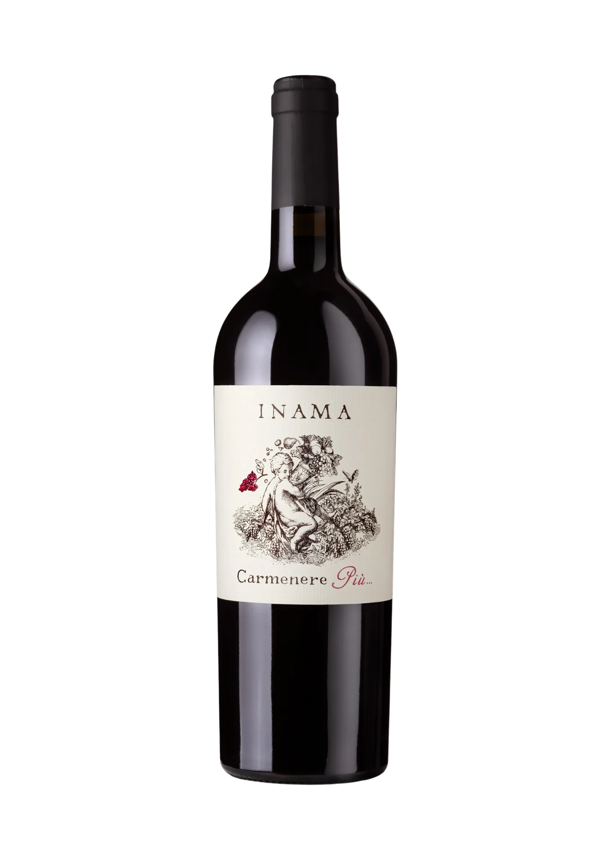 Bottle of Carmenere Più by Inama