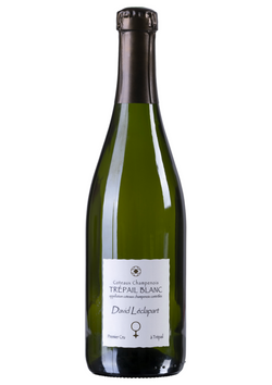 Coteaux Champenois Blanc "Trépail" 2019 - David Léclapart