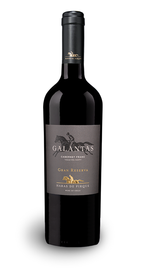 Maipo Andes Cabernet Franc "Galantas" Gran Reserva 2018 - Haras de Pirque