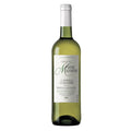 Bordeaux Sauvignon Blanc 2024 - Château Motte Maucourt