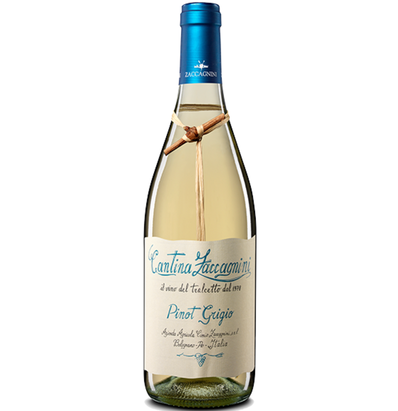 Terre di Chieti "Tralcetto" Pinot Grigio 2022 - Cantina Zaccagnini