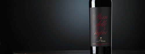 Brunello di Montalcino "Pian delle Vigne" 2017 - Antinori