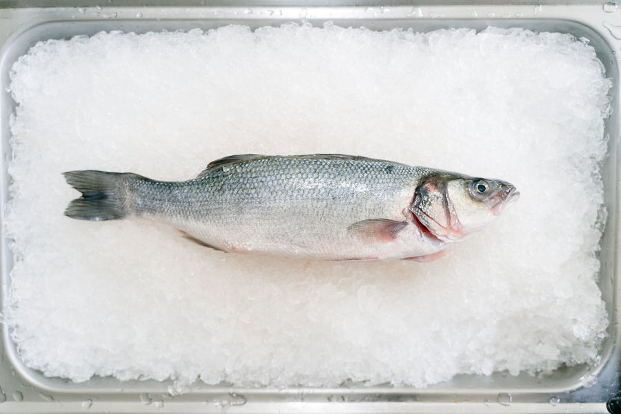 Fresh whole fish on ice – photo by Deane Bayas, Pexels