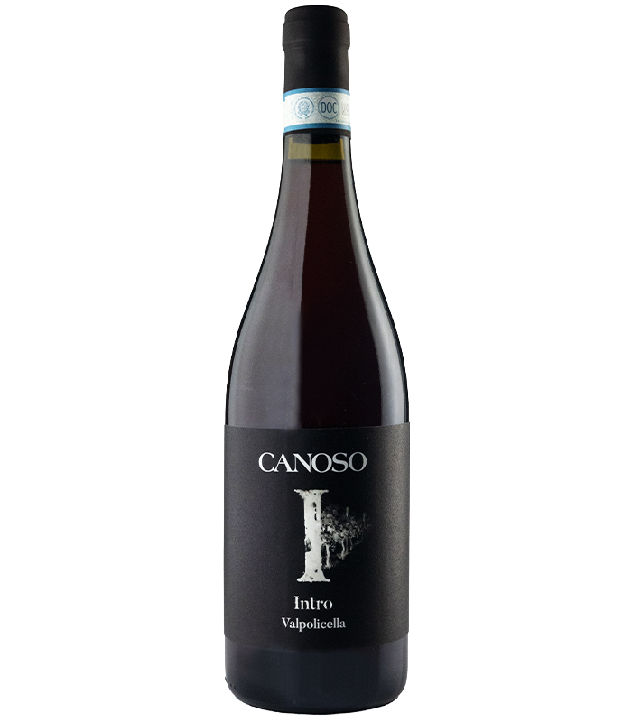 Valpolicella "Intro" 2024 - Canoso