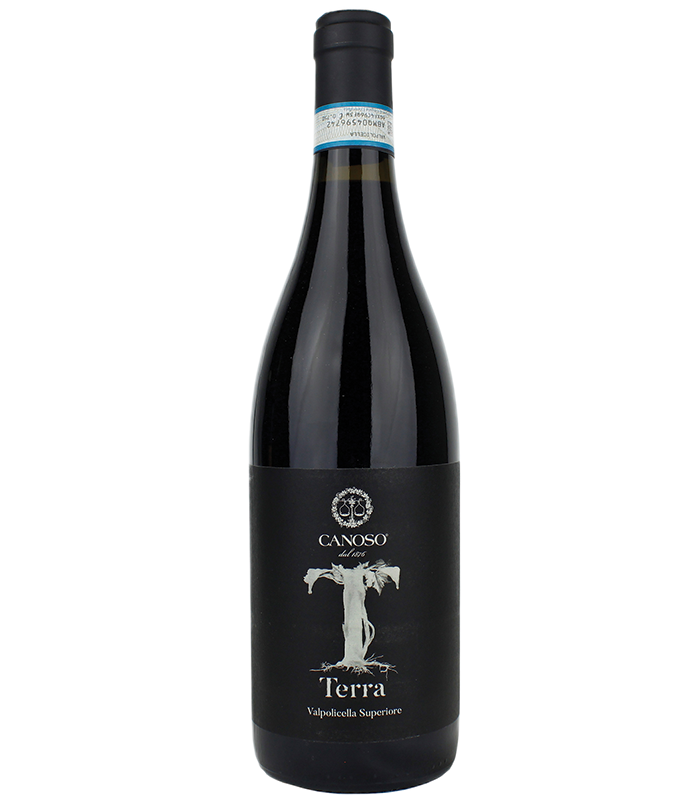 Valpolicella Superiore "Terra" 2020 - Canoso