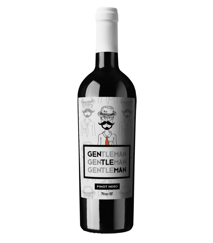 Oltrepò Pavese Pinot Nero "Gentleman" 2024 - Ferro 13