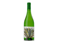 Bottle of Grottaia Vermentino by Caccia al Piano