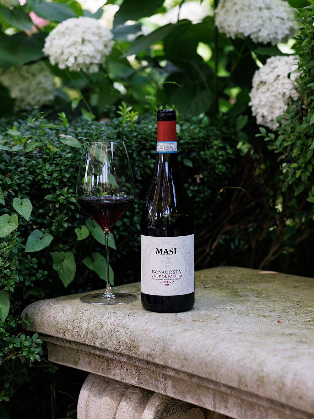 Bottle of Valpolicella Classico Bonacosta by Masi